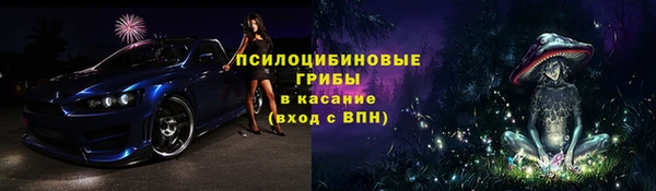 шишки Покровск