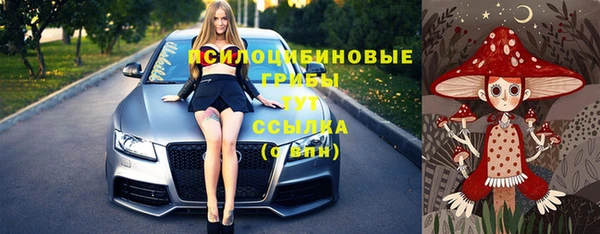 шишки Покровск