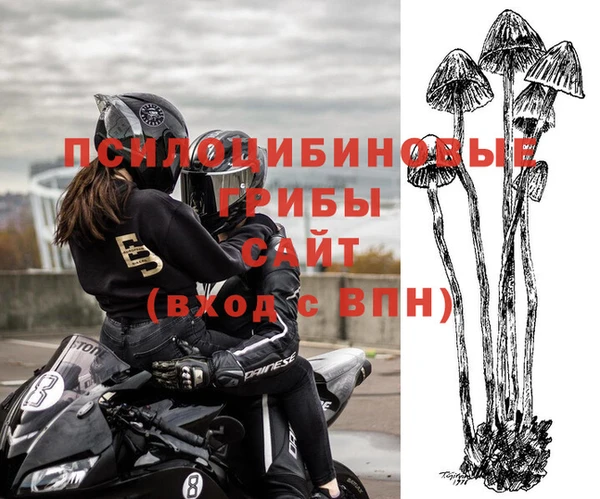 шишки Покровск